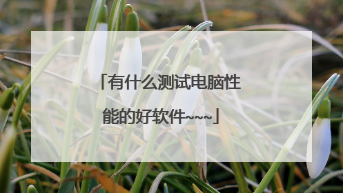 有什么测试电脑性能的好软件~~~