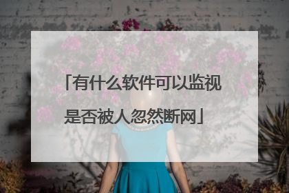 有什么软件可以监视是否被人忽然断网