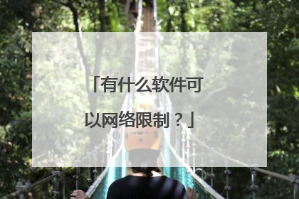 有什么软件可以网络限制?