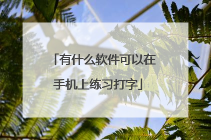 有什么软件可以在手机上练习打字