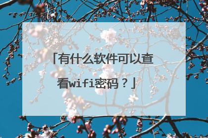 有什么软件可以查看wifi密码?