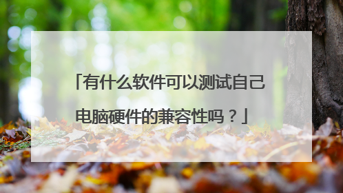 有什么软件可以测试自己电脑硬件的兼容性吗？