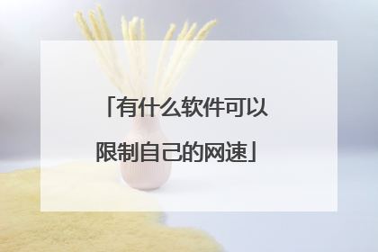 有什么软件可以限制自己的网速