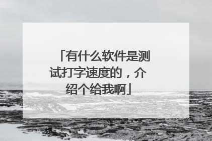 有什么软件是测试打字速度的,介绍个给我啊