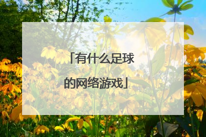 有什么足球的网络游戏