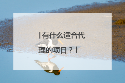 有什么适合代理的项目?