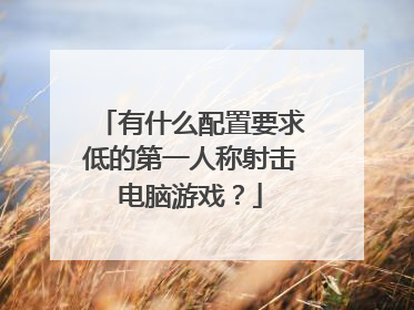 有什么配置要求低的第一人称射击电脑游戏?