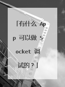 有什么 App 可以做 Socket 调试的？