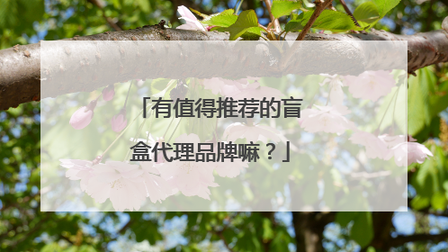 有值得推荐的盲盒代理品牌嘛？