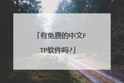 有免费的中文FTP软件吗?