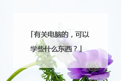 有关电脑的,可以学些什么东西?