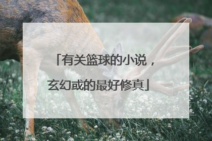 有关篮球的小说,玄幻或的最好修真