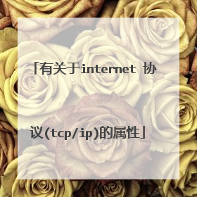 有关于internet 协议(tcp/ip)的属性