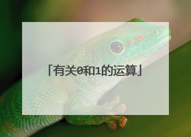 有关0和1的运算