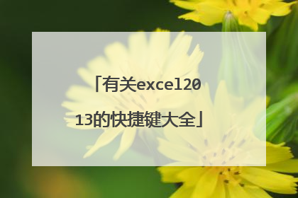 有关excel2013的快捷键大全