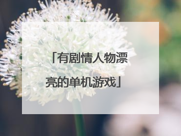 有剧情人物漂亮的单机游戏