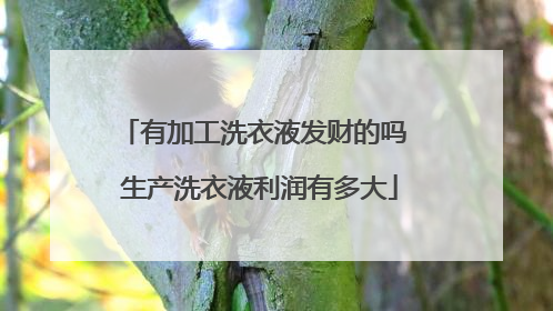 有加工洗衣液发财的吗 生产洗衣液利润有多大
