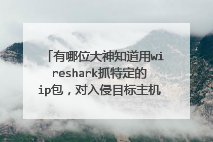 有哪位大神知道用wireshark抓特定的ip包,对入侵目标主机有什么?数据包里通常有哪些有用信息