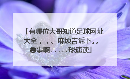 有哪位大哥知道足球网址大全,,、麻烦告诉下,,急事啊.....球速读