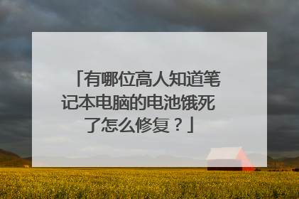 有哪位高人知道笔记本电脑的电池饿死了怎么修复?
