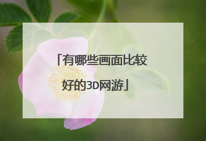 有哪些画面比较好的3D网游