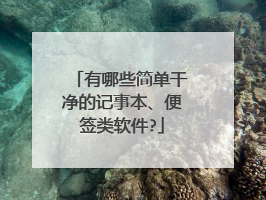 有哪些简单干净的记事本、便签类软件?