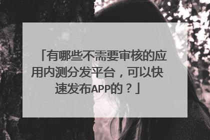有哪些不需要审核的应用内测分发平台,可以快速发布APP的?