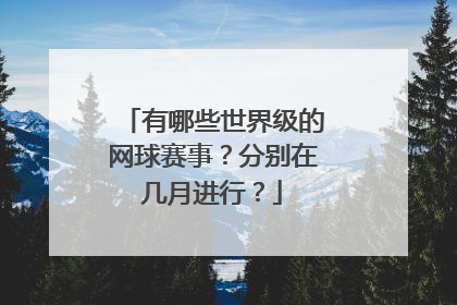 有哪些世界级的网球赛事？分别在几月进行？