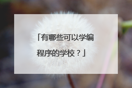 有哪些可以学编程序的学校?