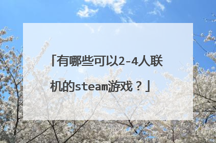 有哪些可以2-4人联机的steam游戏?