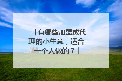 有哪些加盟或代理的小生意,适合一个人做的?