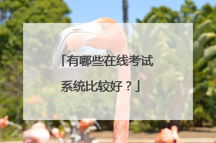 有哪些在线考试系统比较好？