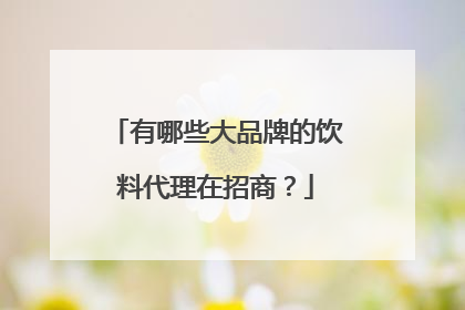 有哪些大品牌的饮料代理在招商？