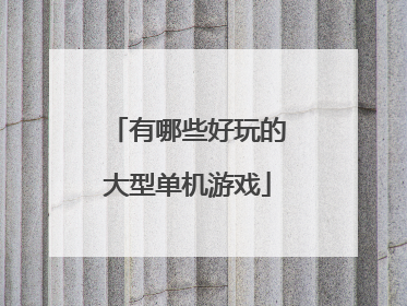 有哪些好玩的大型单机游戏