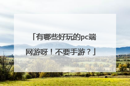 有哪些好玩的pc端网游呀！不要手游？