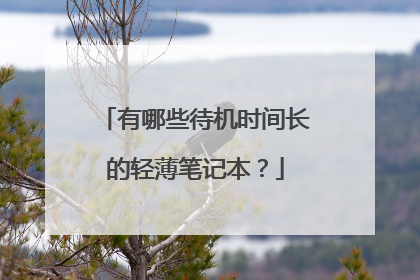 有哪些待机时间长的轻薄笔记本?