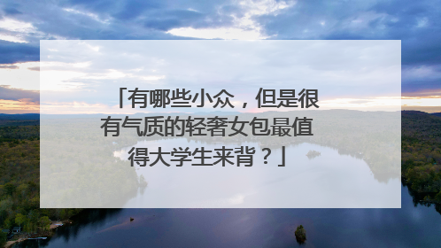 有哪些小众,但是很有气质的轻奢女包最值得大学生来背?