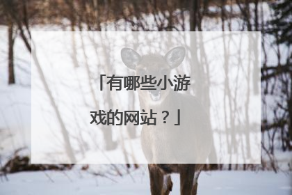 有哪些小游戏的网站？