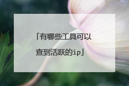 有哪些工具可以查到活跃的ip
