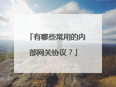 有哪些常用的内部网关协议？