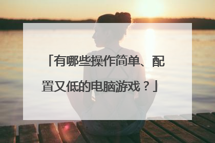 有哪些操作简单、配置又低的电脑游戏?