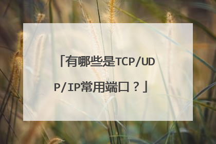 有哪些是TCP/UDP/IP常用端口？