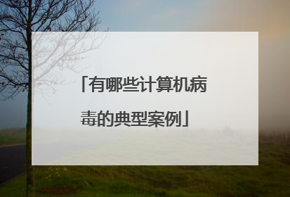 有哪些计算机病毒的典型案例