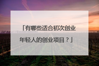 有哪些适合初次创业年轻人的创业项目?