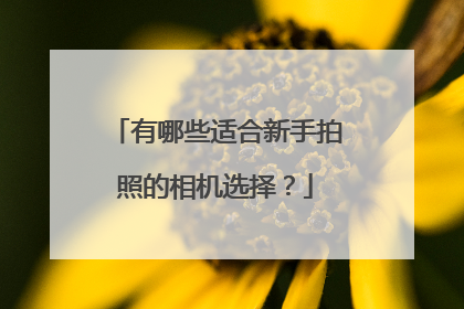 有哪些适合新手拍照的相机选择?