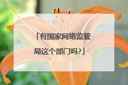 有国家网络监管局这个部门吗?