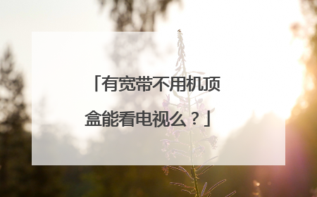 有宽带不用机顶盒能看电视么？