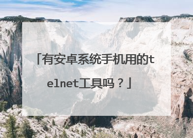 有安卓系统手机用的telnet工具吗?