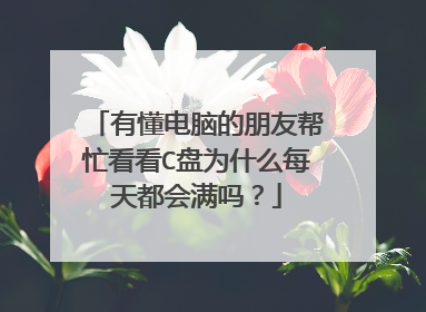 有懂电脑的朋友帮忙看看C盘为什么每天都会满吗?