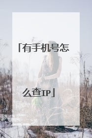 有手机号怎么查IP